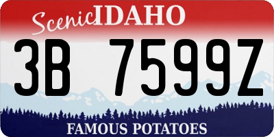 ID license plate 3B7599Z