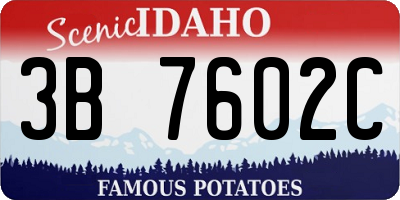 ID license plate 3B7602C