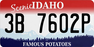 ID license plate 3B7602P