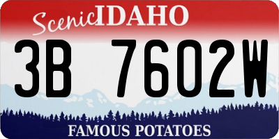 ID license plate 3B7602W