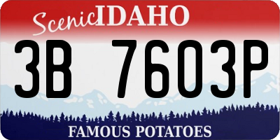 ID license plate 3B7603P