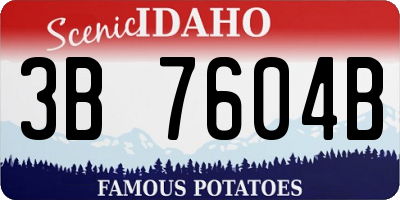 ID license plate 3B7604B