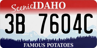 ID license plate 3B7604C