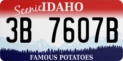 ID license plate 3B7607B