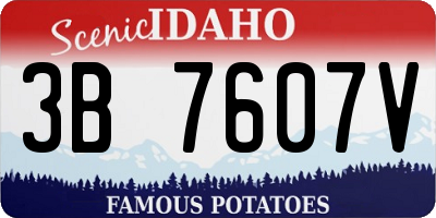 ID license plate 3B7607V