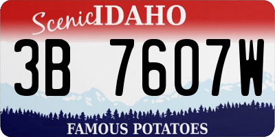 ID license plate 3B7607W