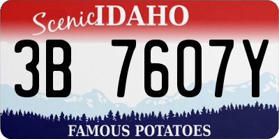 ID license plate 3B7607Y