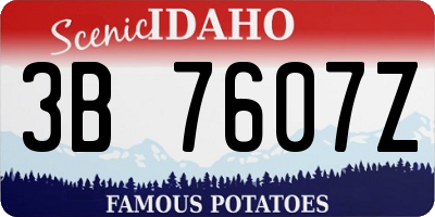 ID license plate 3B7607Z