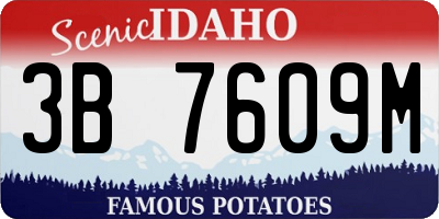 ID license plate 3B7609M