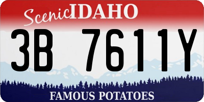 ID license plate 3B7611Y
