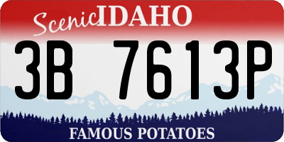 ID license plate 3B7613P