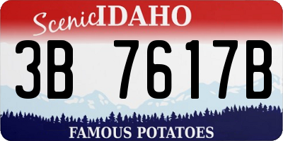 ID license plate 3B7617B