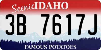 ID license plate 3B7617J