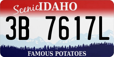 ID license plate 3B7617L
