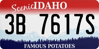 ID license plate 3B7617S