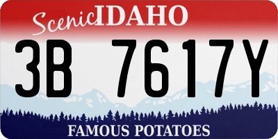 ID license plate 3B7617Y