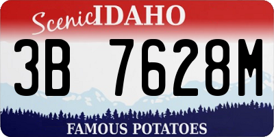 ID license plate 3B7628M