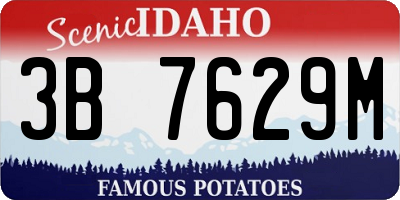 ID license plate 3B7629M