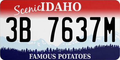 ID license plate 3B7637M