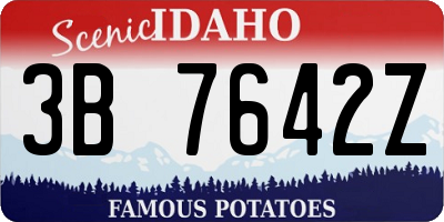 ID license plate 3B7642Z