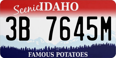 ID license plate 3B7645M