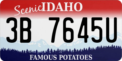 ID license plate 3B7645U