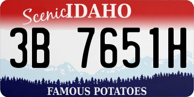 ID license plate 3B7651H