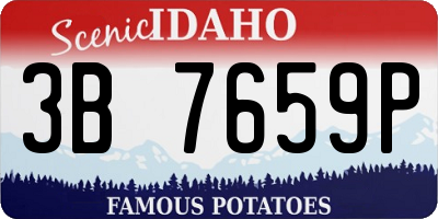 ID license plate 3B7659P