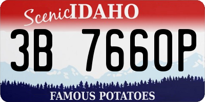 ID license plate 3B7660P