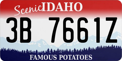 ID license plate 3B7661Z