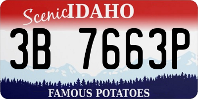 ID license plate 3B7663P