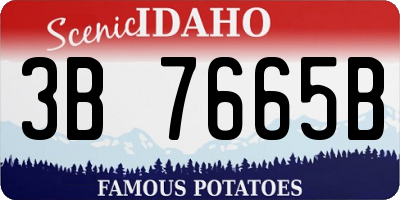 ID license plate 3B7665B