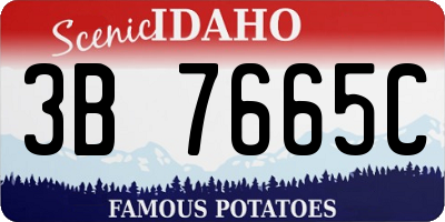 ID license plate 3B7665C