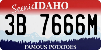 ID license plate 3B7666M