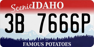 ID license plate 3B7666P