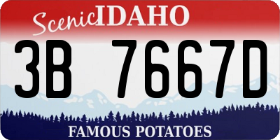 ID license plate 3B7667D