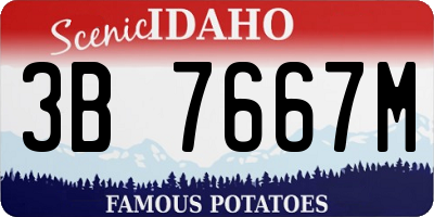 ID license plate 3B7667M