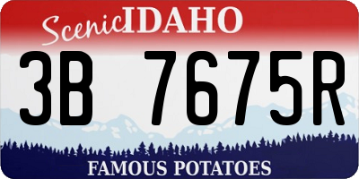 ID license plate 3B7675R
