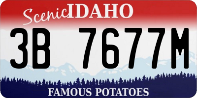 ID license plate 3B7677M