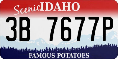 ID license plate 3B7677P