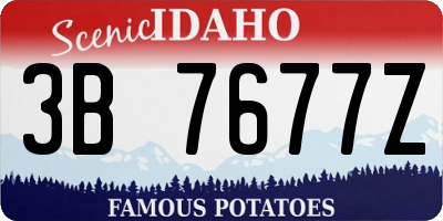 ID license plate 3B7677Z