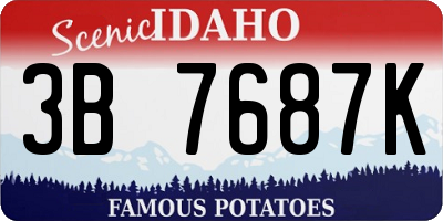 ID license plate 3B7687K
