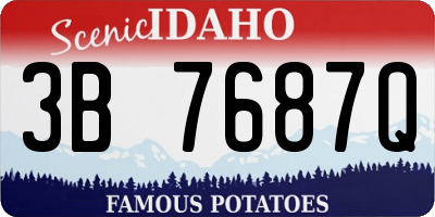 ID license plate 3B7687Q