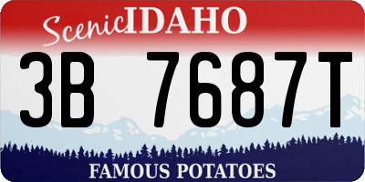 ID license plate 3B7687T