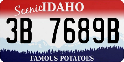 ID license plate 3B7689B