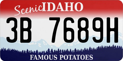 ID license plate 3B7689H