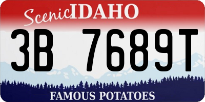 ID license plate 3B7689T