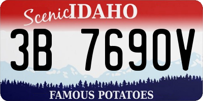 ID license plate 3B7690V