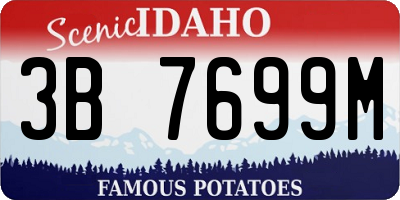 ID license plate 3B7699M