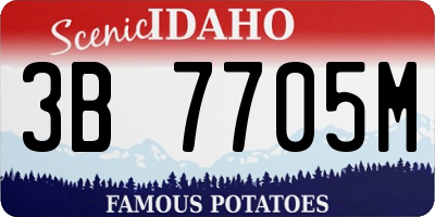 ID license plate 3B7705M